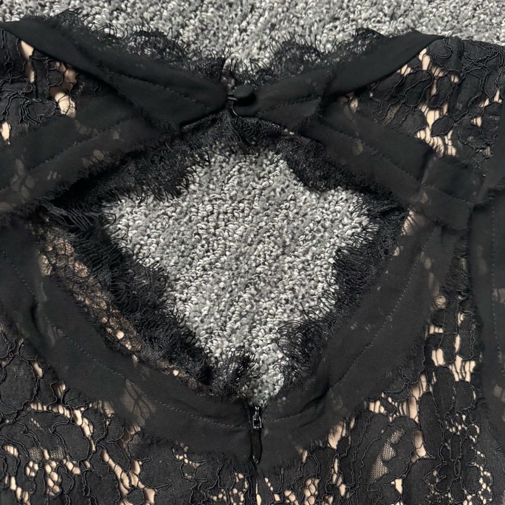 Heartloom Black and Nude Lace Dress Sz M Party Formal Minimalist Chic Whimsygoth - Picture 5 of 10